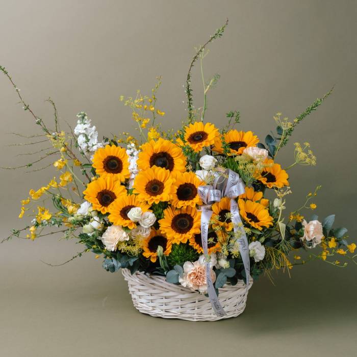 Burst of Sunshine