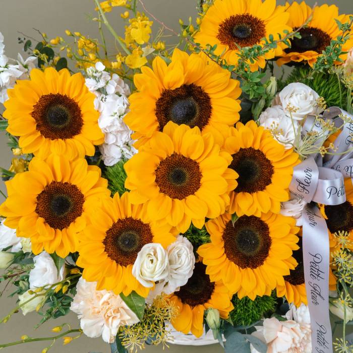 Burst of Sunshine