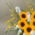 Burst of Sunshine