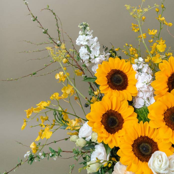 Burst of Sunshine