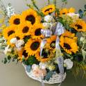 Burst of Sunshine
