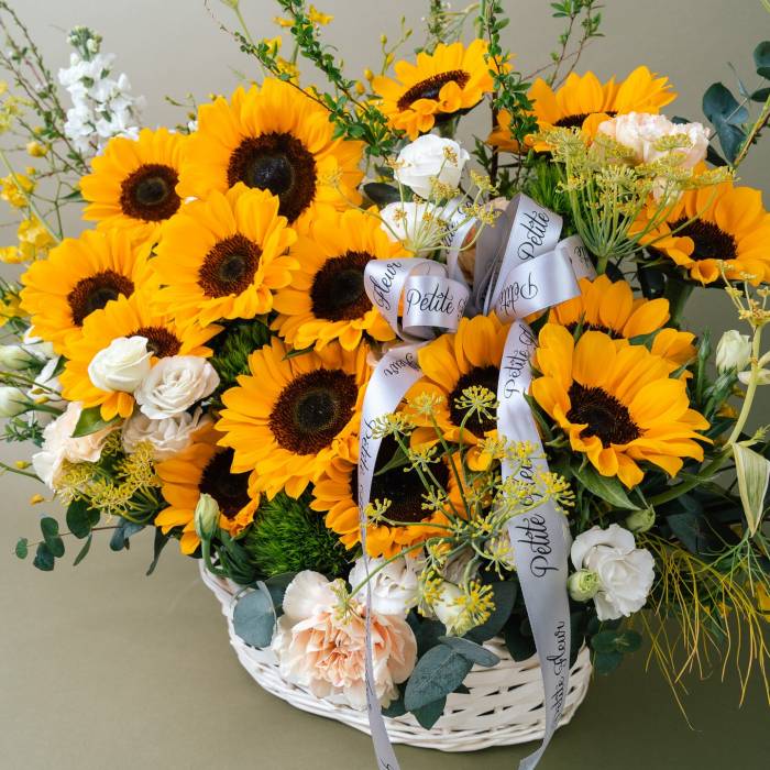 Burst of Sunshine