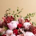 Peony In Love