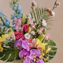 Bloom Affair