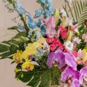Bloom Affair