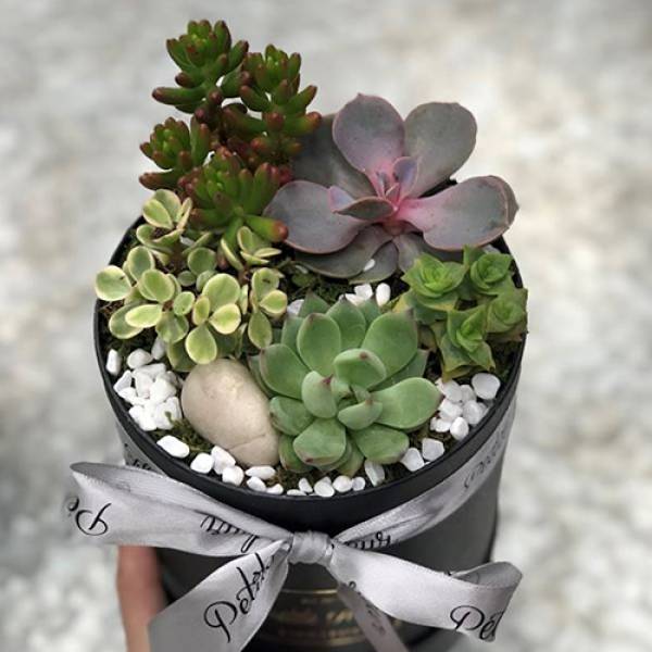 6 Alternatives to Fresh Flower Bouquets in Singapore