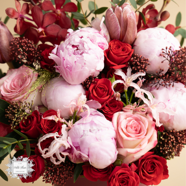 History of Peonies and Its Symbolisms