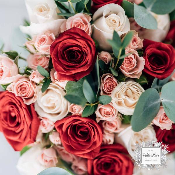 3 Lesser Known Roses You Might Have Never Heard of