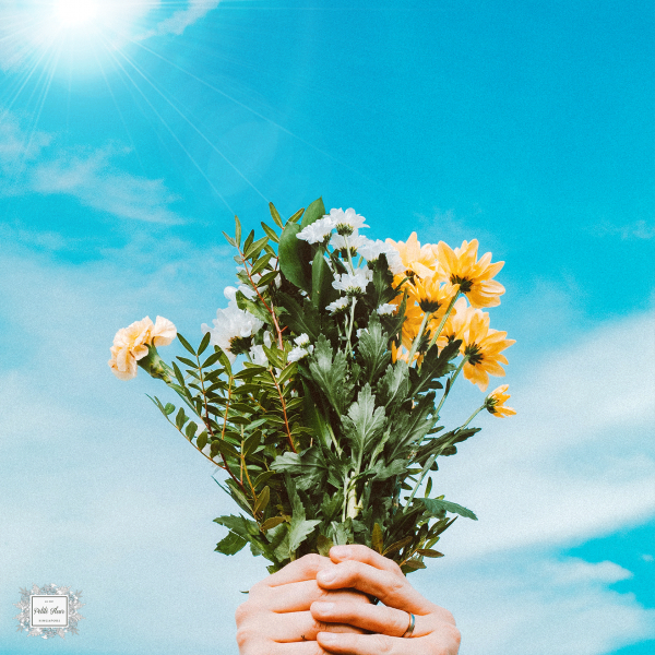 4 Flowers That Thrive In Singapore's Humid Climate To Consider For Bouquets