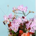Vibrant Mid-Autumn Gift Basket