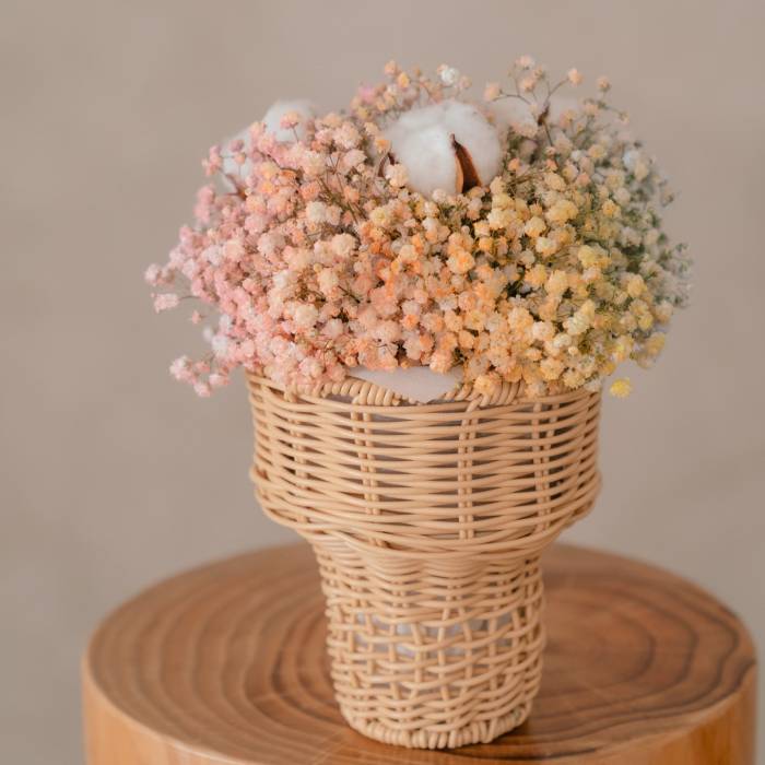 Cotton dreams