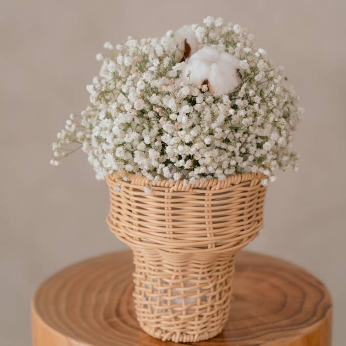 Cotton dreams