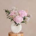 Hydrangea Ocean Breeze