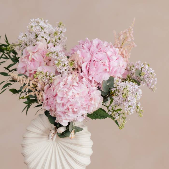 Hydrangea Ocean Breeze