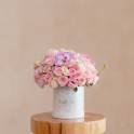 Pearl Blooms