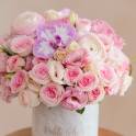 Pearl Blooms