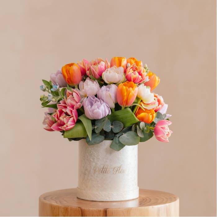 Tulips In Color