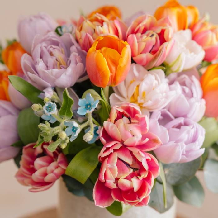 Tulips In Color