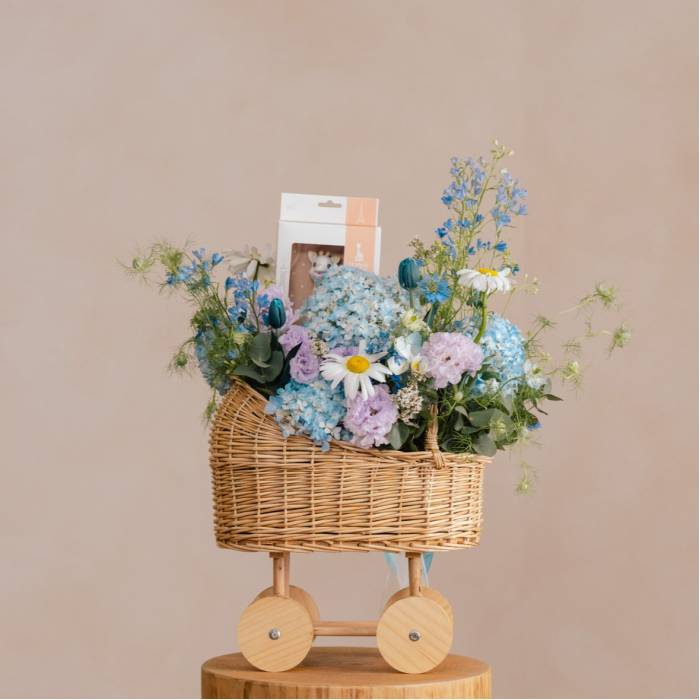 Sweet Petal and Plush Stroll