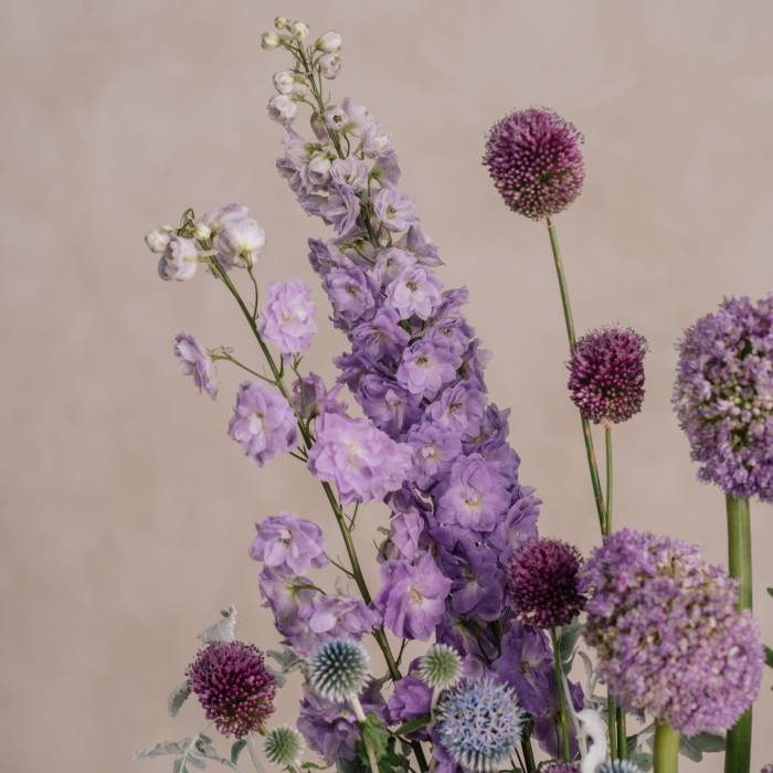 Mauve