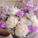 Lilac Cotton Candy
