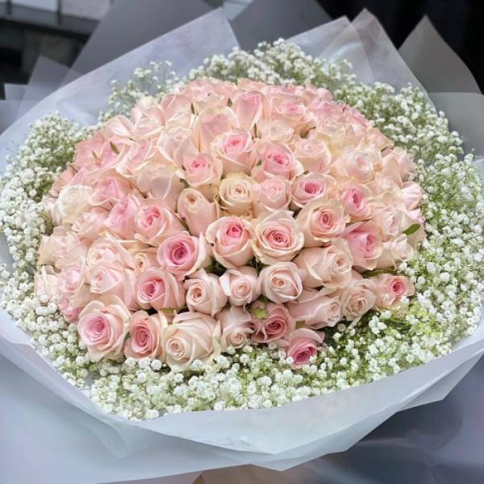 99 Premium Roses  with Gypsophila