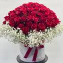 99 Premium Roses  with Gypsophila