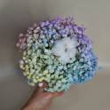 Cotton dreams
