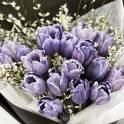 Lavender Magic Tulips