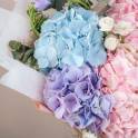 Majestic Hydrangea Bouquet