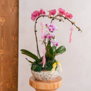 Orchid elegance vase arrangement