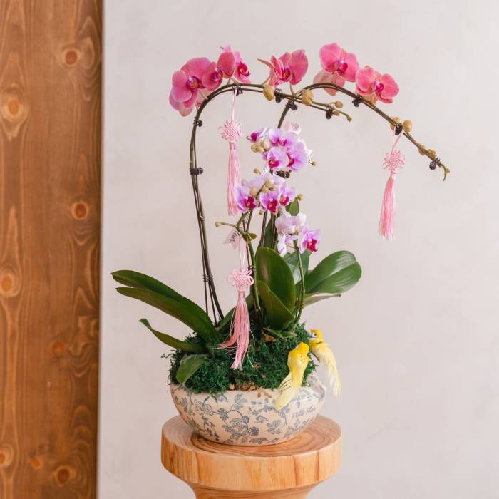 Orchid elegance vase arrangement