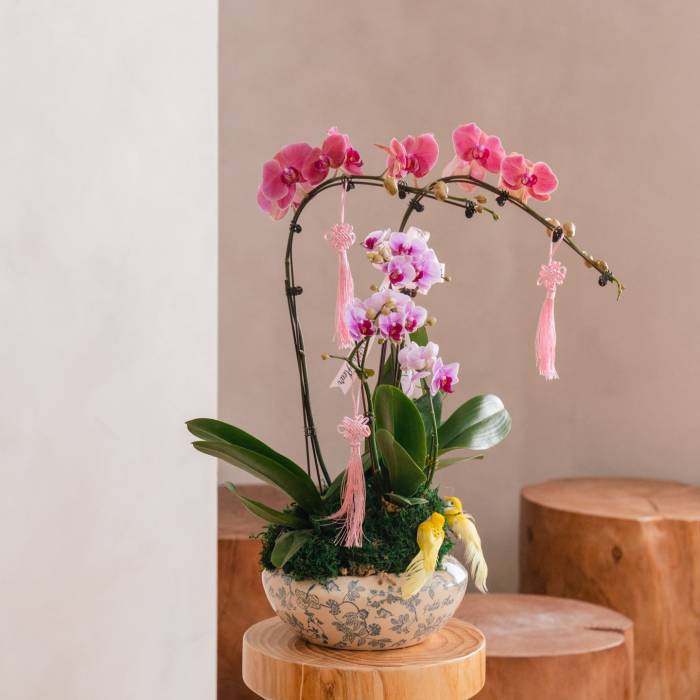 Orchid elegance vase arrangement
