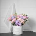 Peony Magic in a Box