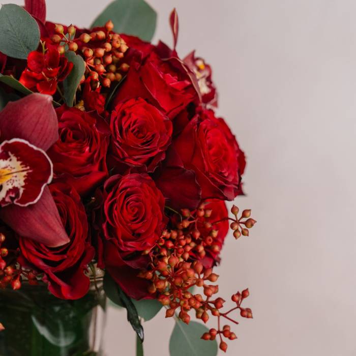 Rose Rouge Classique