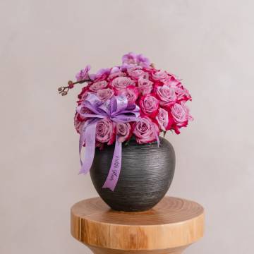 Royal Midnight Elegance