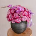 Royal Midnight Elegance