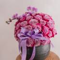 Royal Midnight Elegance