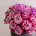 Royal Midnight Elegance