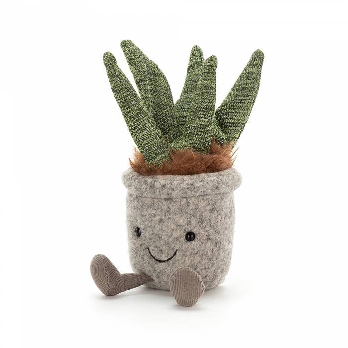 Succulent Box