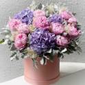 Peony Magic in a Box