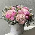 Peony Magic in a Box