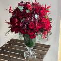 Rose Rouge Classique