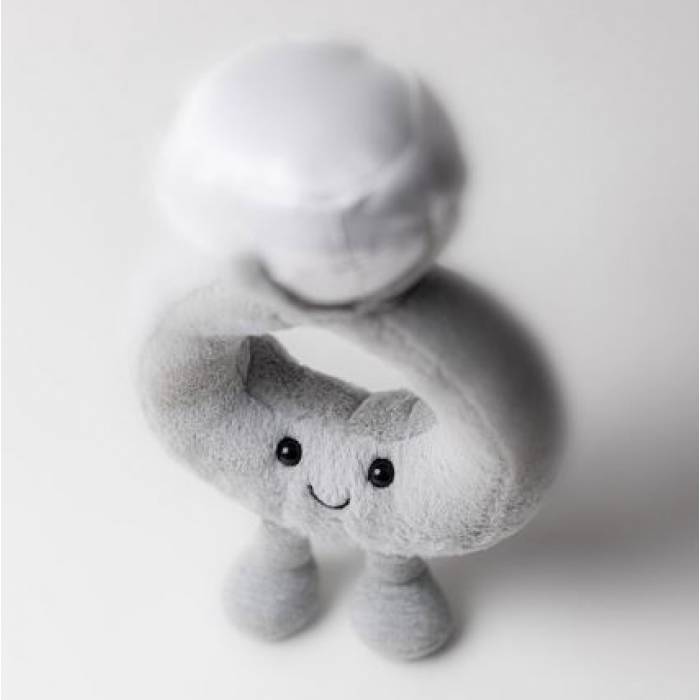 Add on - Jellycat Plushie Limited Edition