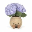 Add on - Jellycat Plushie Limited Edition