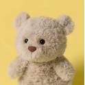 Add on - Jellycat Plushie Limited Edition