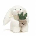 Add on - Jellycat Bunny Plushie