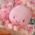 Cozy Bloom – Macaron and Fresh Flower Hamper