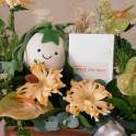 Father's Day Ivy Jellycat and Coffee Gift Box