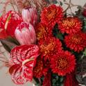 Red Anthurium & Protea Vase Arrangement
